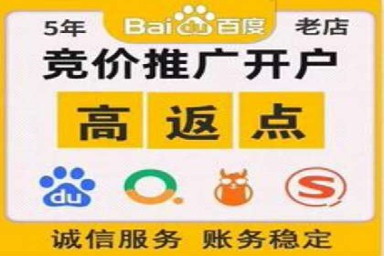 百度推广全攻略：成功案例剖析